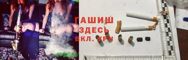ПСИЛОЦИБИНОВЫЕ ГРИБЫ Дмитров