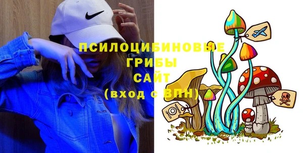 круглые Дмитриев