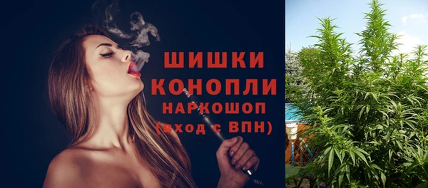 ПСИЛОЦИБИНОВЫЕ ГРИБЫ Дмитров