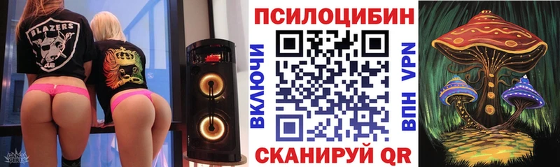 Галлюциногенные грибы Cubensis  Купить  Свирск 